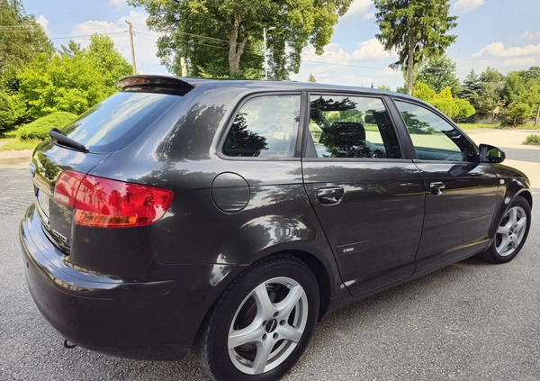 Audi A3 cena 14900 przebieg: 239780, rok produkcji 2005 z Wyszków małe 92